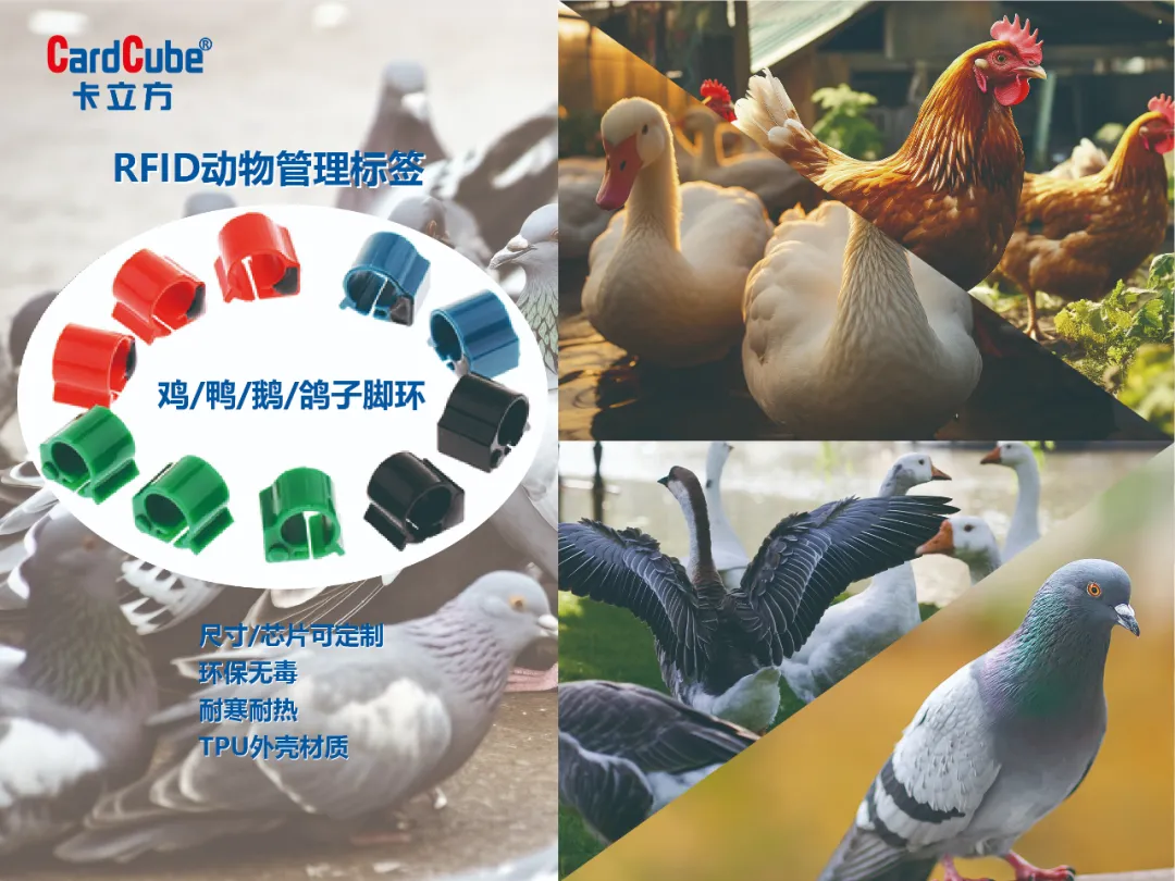 68825136-58bf-4bee-ad70-1d9ec9dfdc53