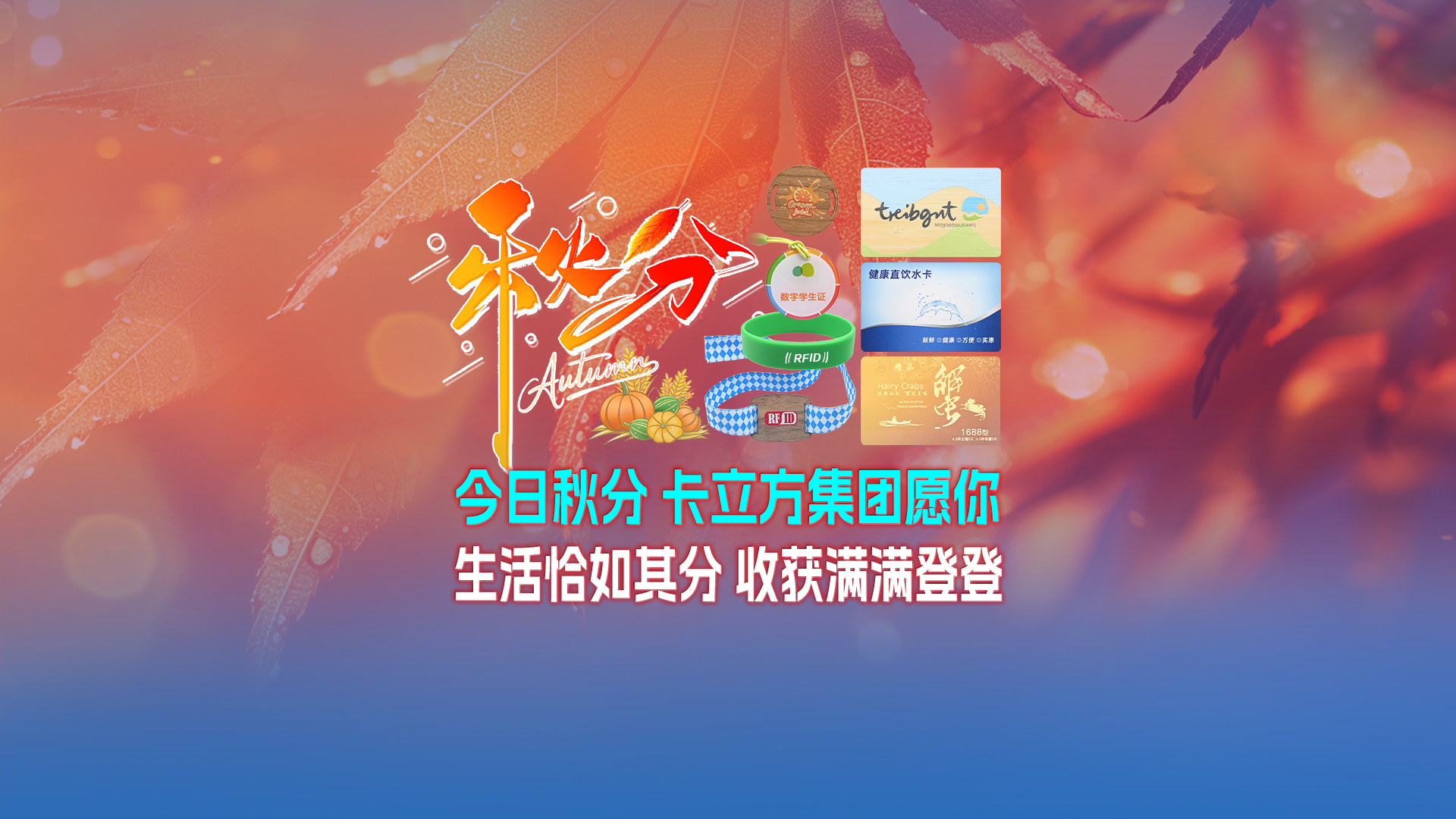 秋分至，卡立方集團智能卡工廠以RFID多元化物聯網產品科技賦能萬物互聯